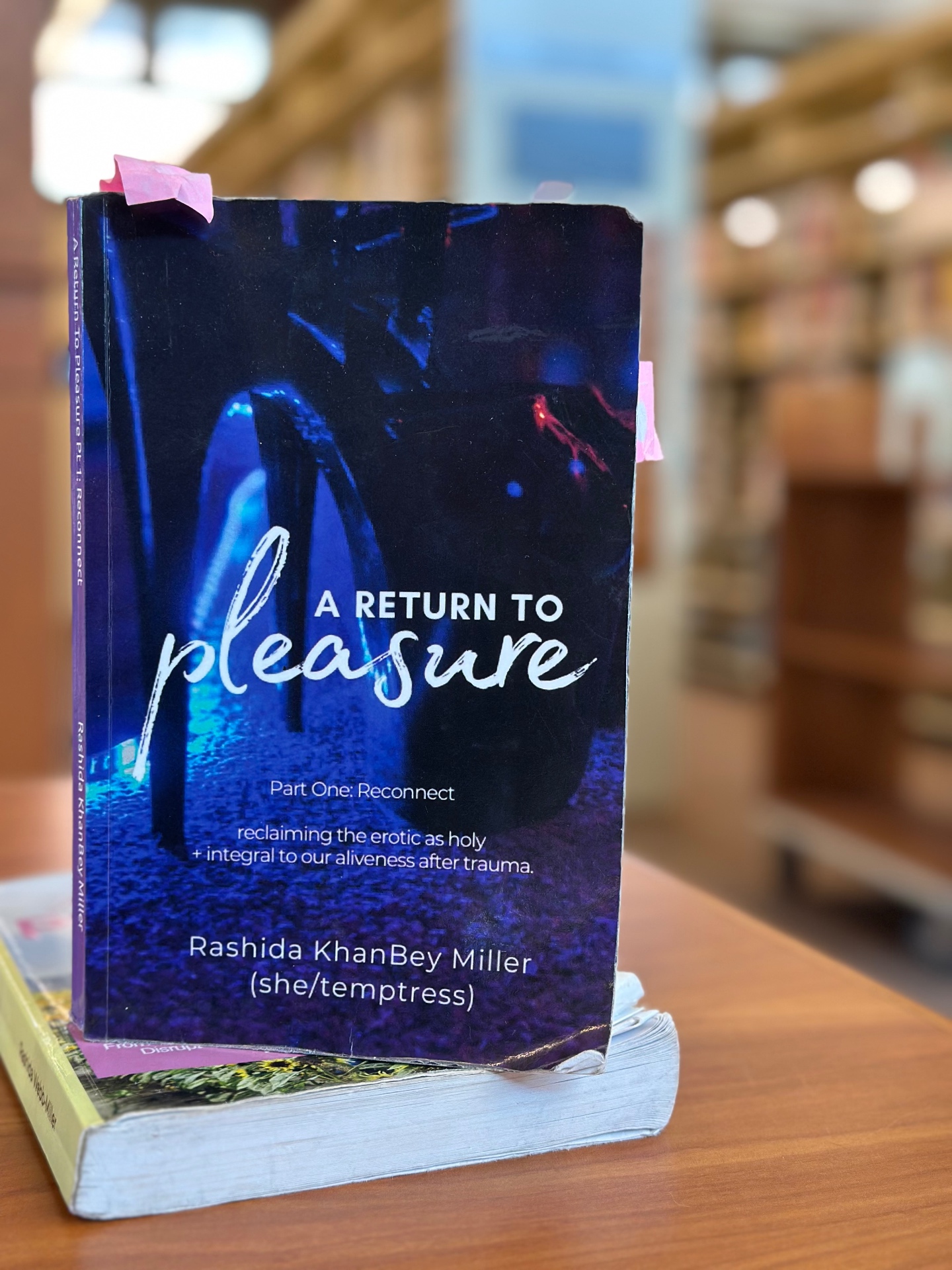 A Return to Pleasure Part I — book cover