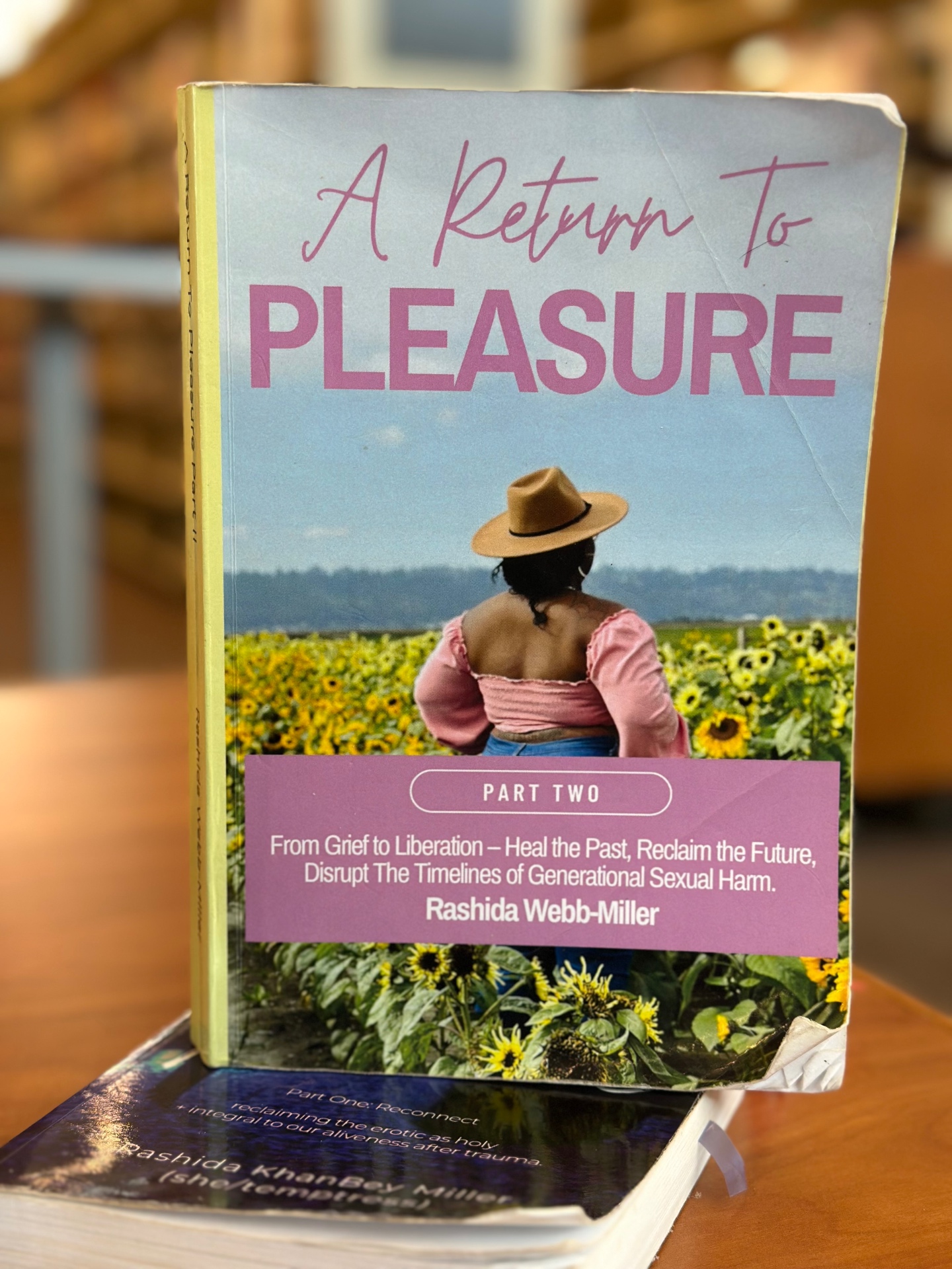 A Return to Pleasure Part II — book cover